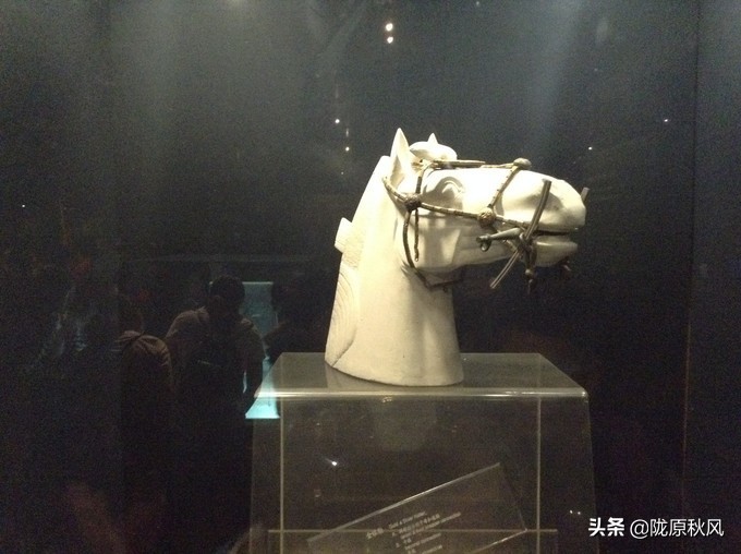 西安兵马俑和大唐不夜城旅游攻略,古都西安兵马俑与大唐芙蓉园一角