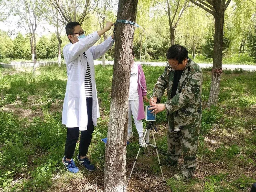红颈天牛生活习性及防治方法,天牛的习性和天敌