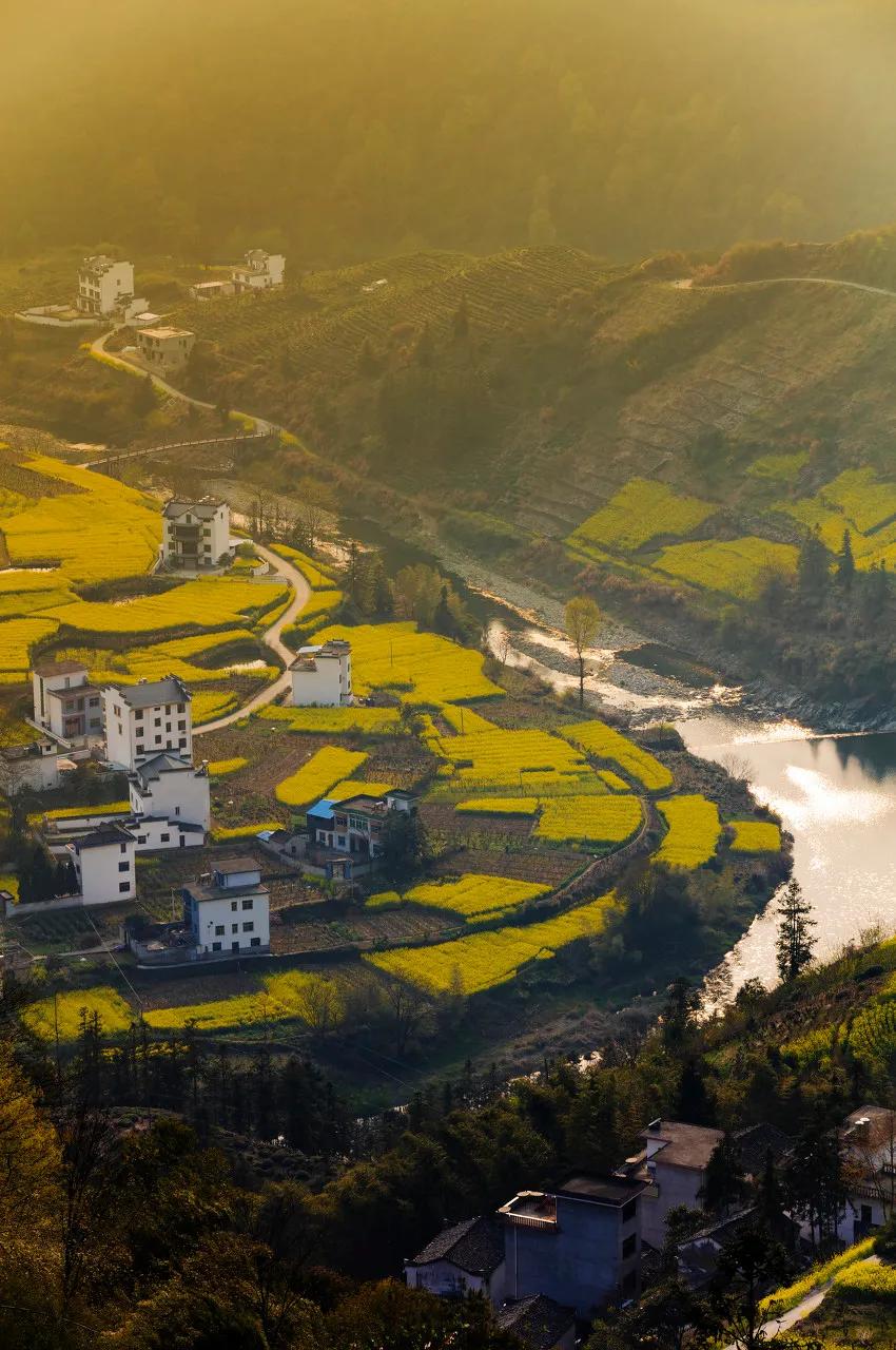 安徽春天美丽的视频,安徽美丽的春天