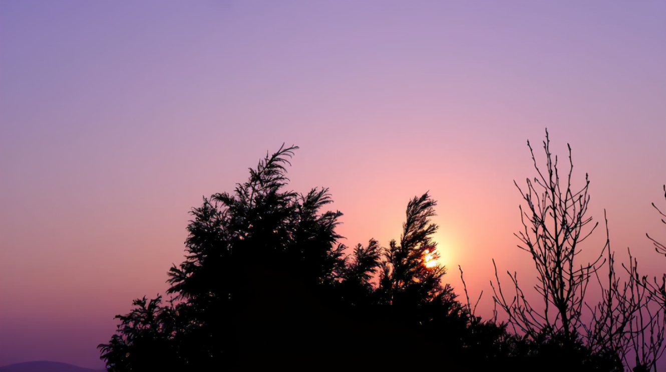 毛尖云雾绿茶哪款好喝,你们喝过最好喝的茶