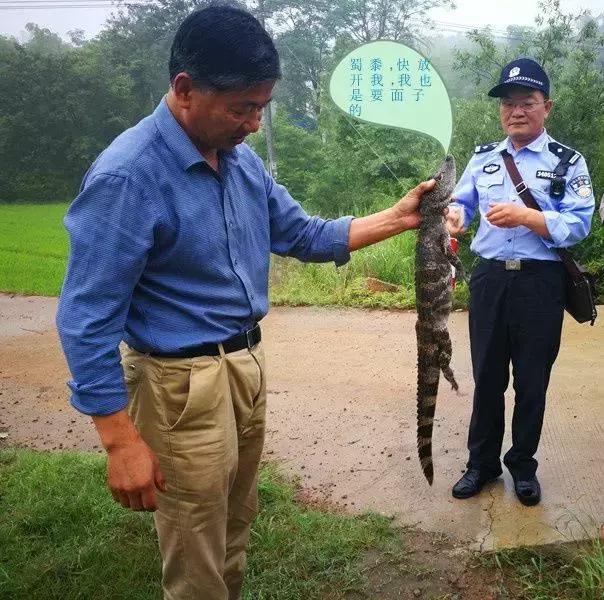 还没看《神奇动物在哪里》？没关系，你错过的神奇动物都在这里