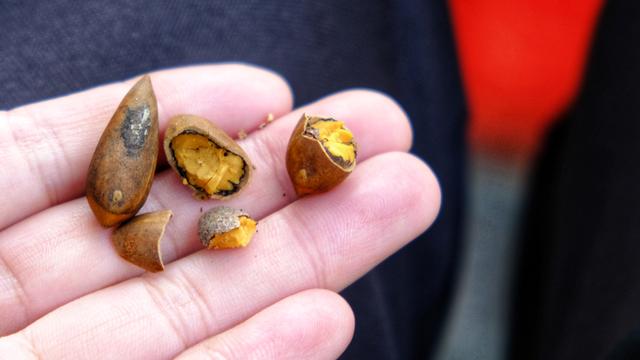 小城市也有好风光诸暨,诸暨在绍兴是一个怎么样的存在