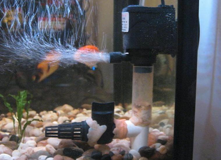 龟缸水腥臭味怎么处理,鱼缸臭味怎么解决