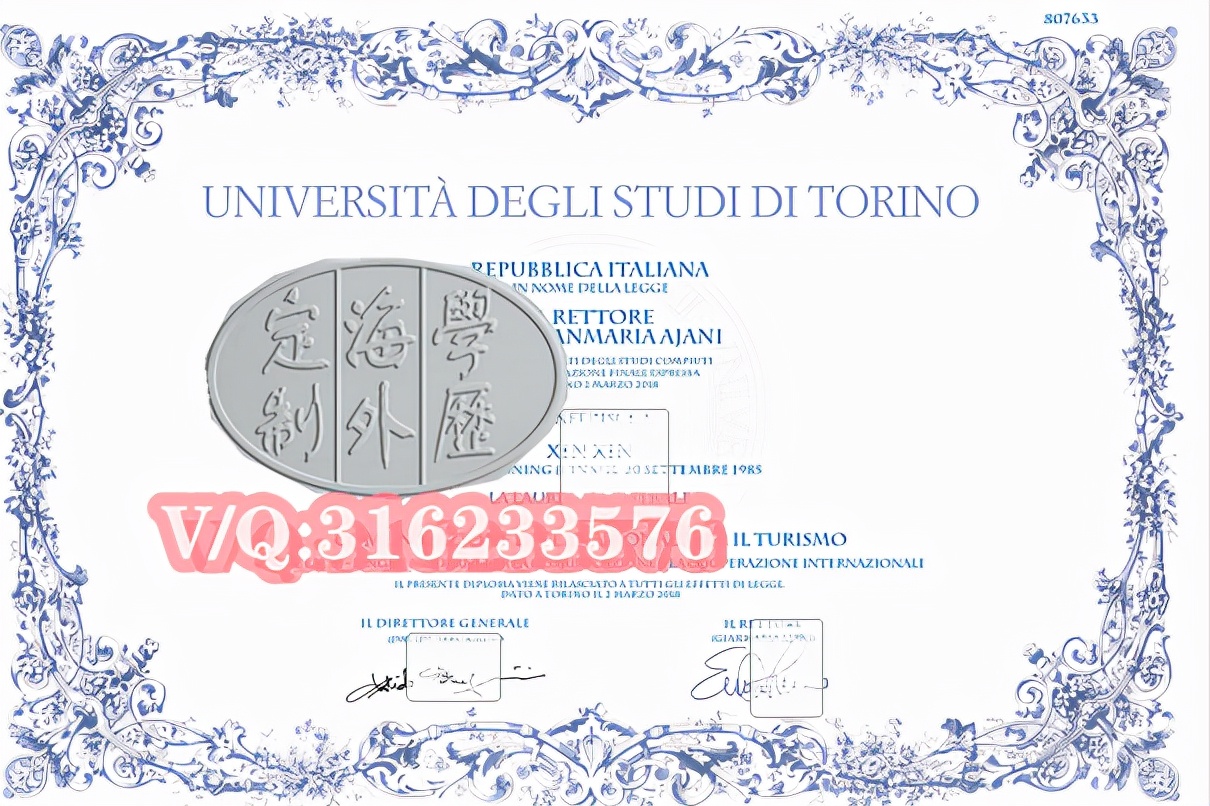 意大利都灵大学介绍,意大利都灵大学