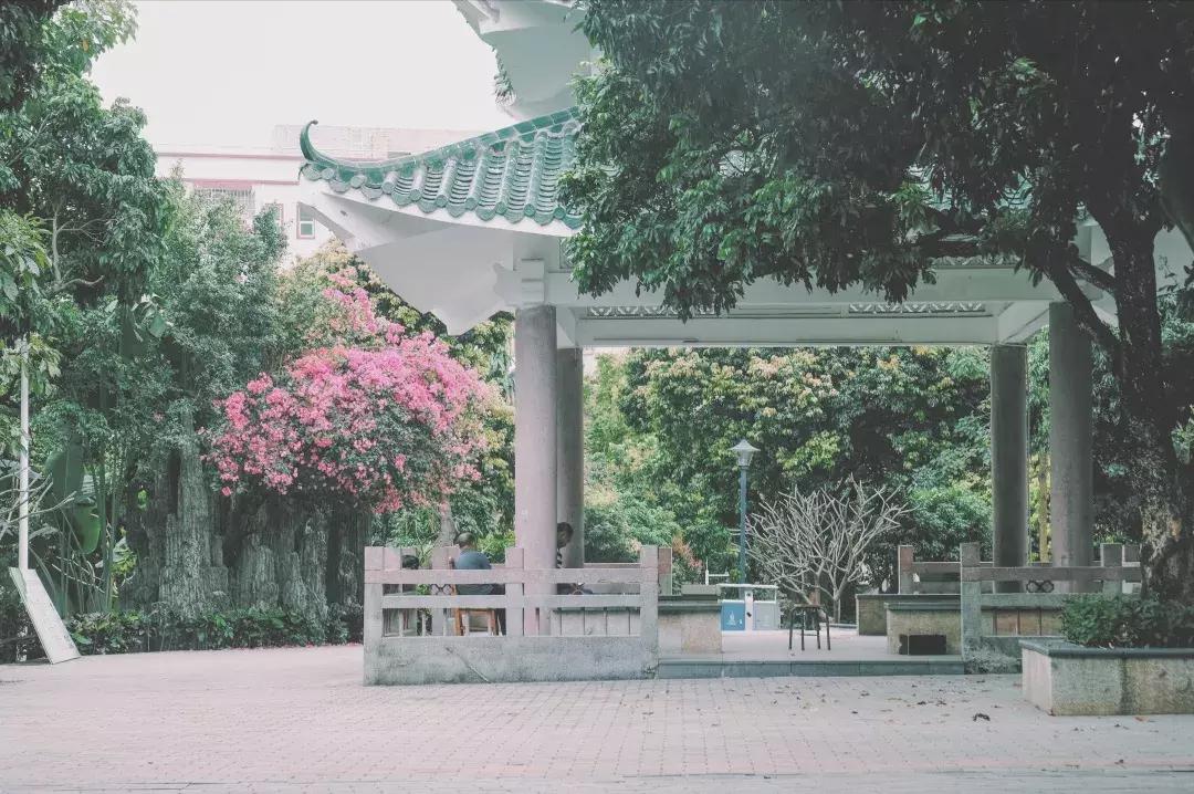 每个地方都有个沙井,好多地方叫沙井