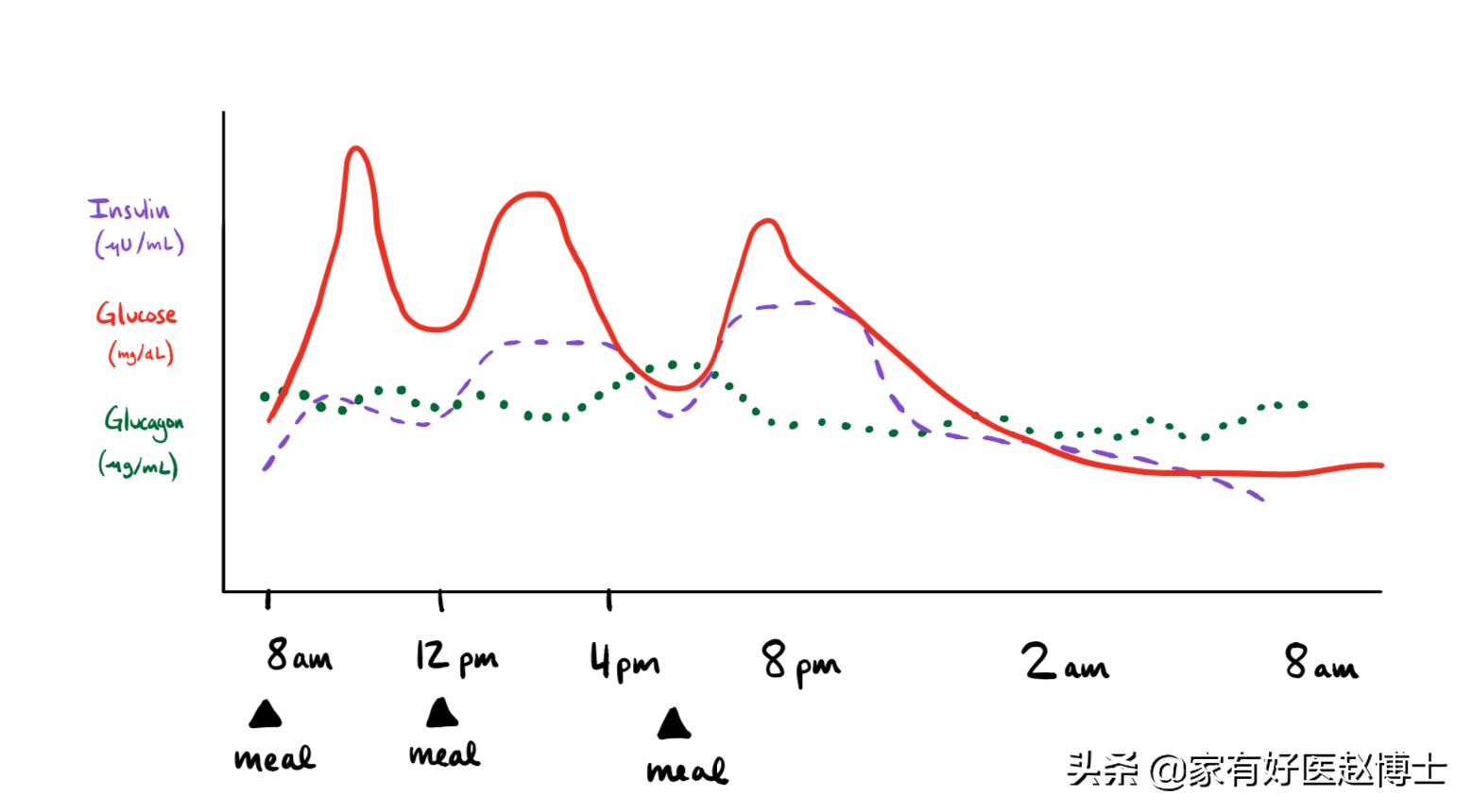 体重一直下降是胰岛素抵抗吗,体重总是增长