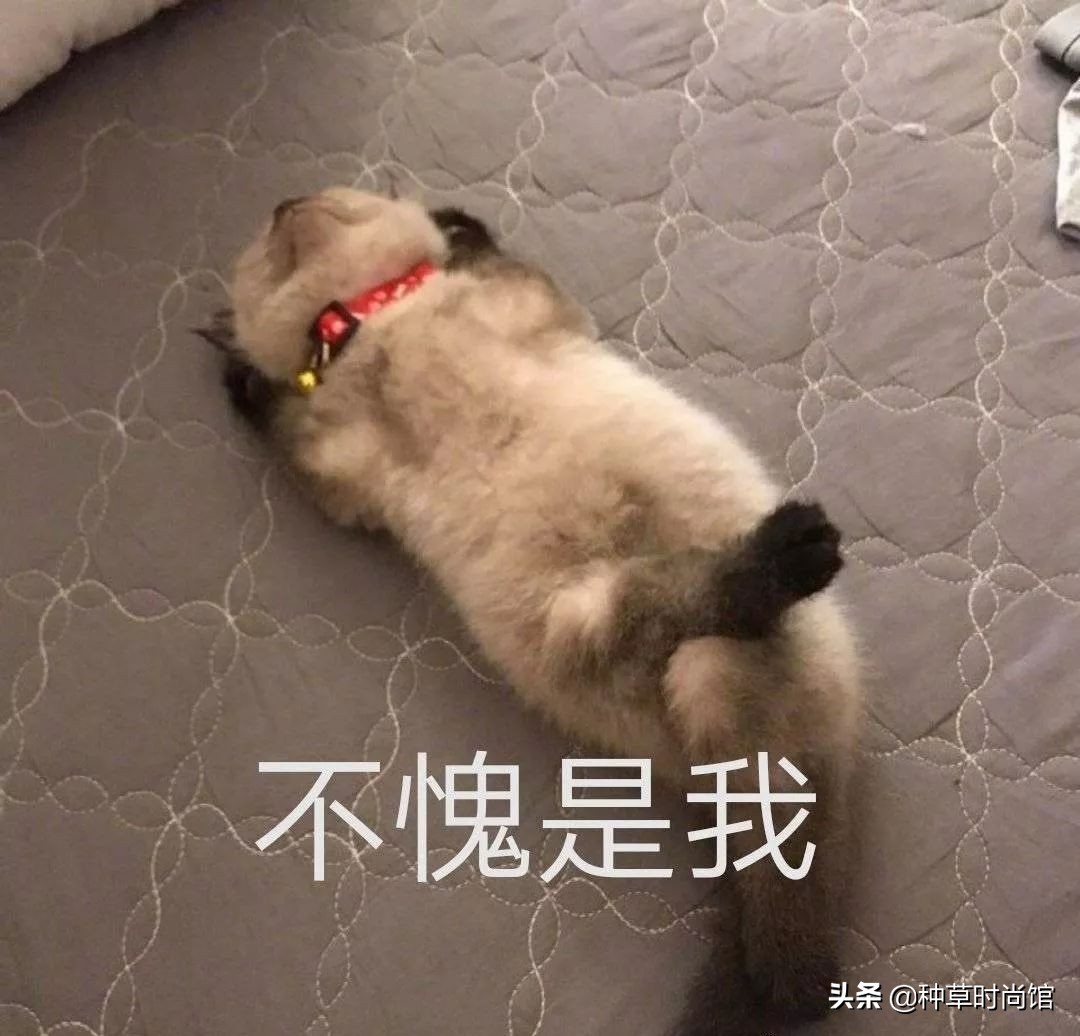 长皮衣外套女怎么穿好看,肥大的外套怎么穿好看