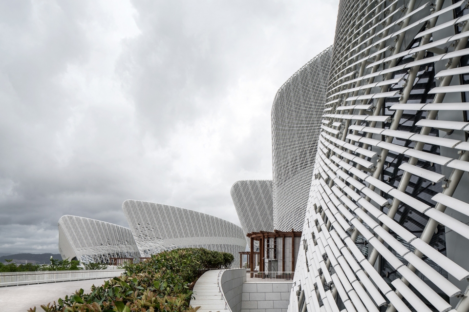 海峡艺术中心茉莉花,福州海峡文化艺术中心晚霞