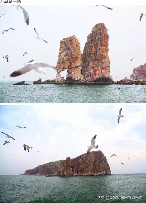 山东高级旅行社游玩攻略,长岛渤海长通旅运有限公司