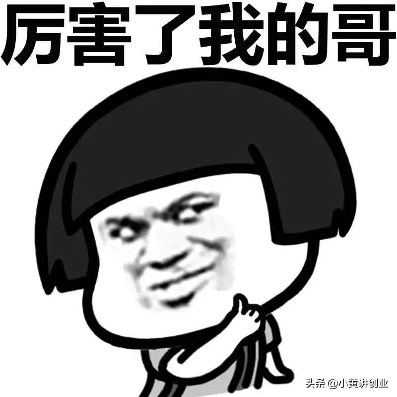 十大躺赚项目,蓝海赚钱