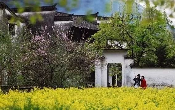 婺源旅游全攻略自由行,婺源旅游攻略一日游自由行