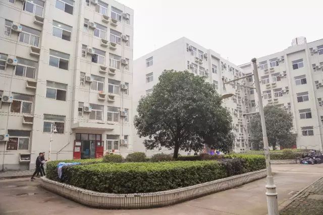 藏龙岛学校排名,藏龙岛的大学