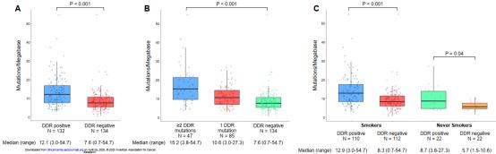 DNA损伤修复基因突变好免疫治疗关系