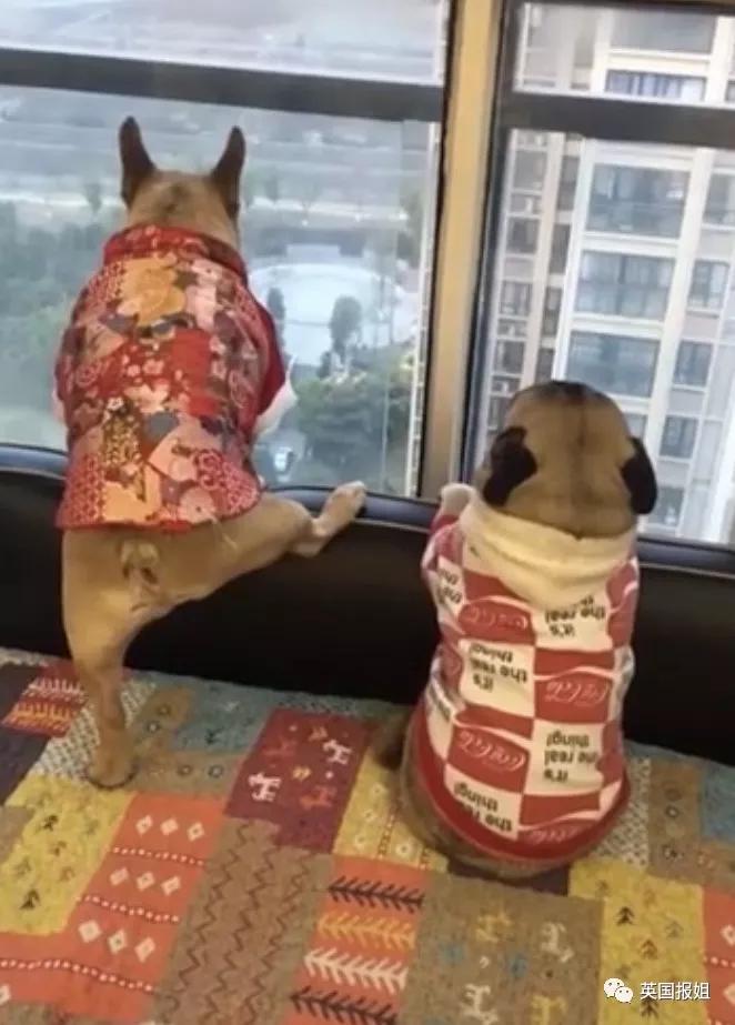 宅家无聊自嗨起来,宅家自娱自乐大赛