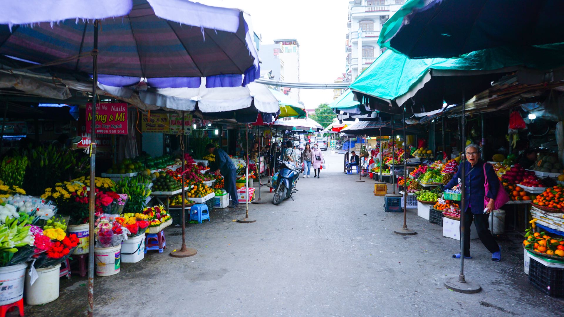 北海开车去越南,从北海一路开车到越南都遇到什么