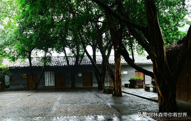 林森完整版免费观看,林森完整视频