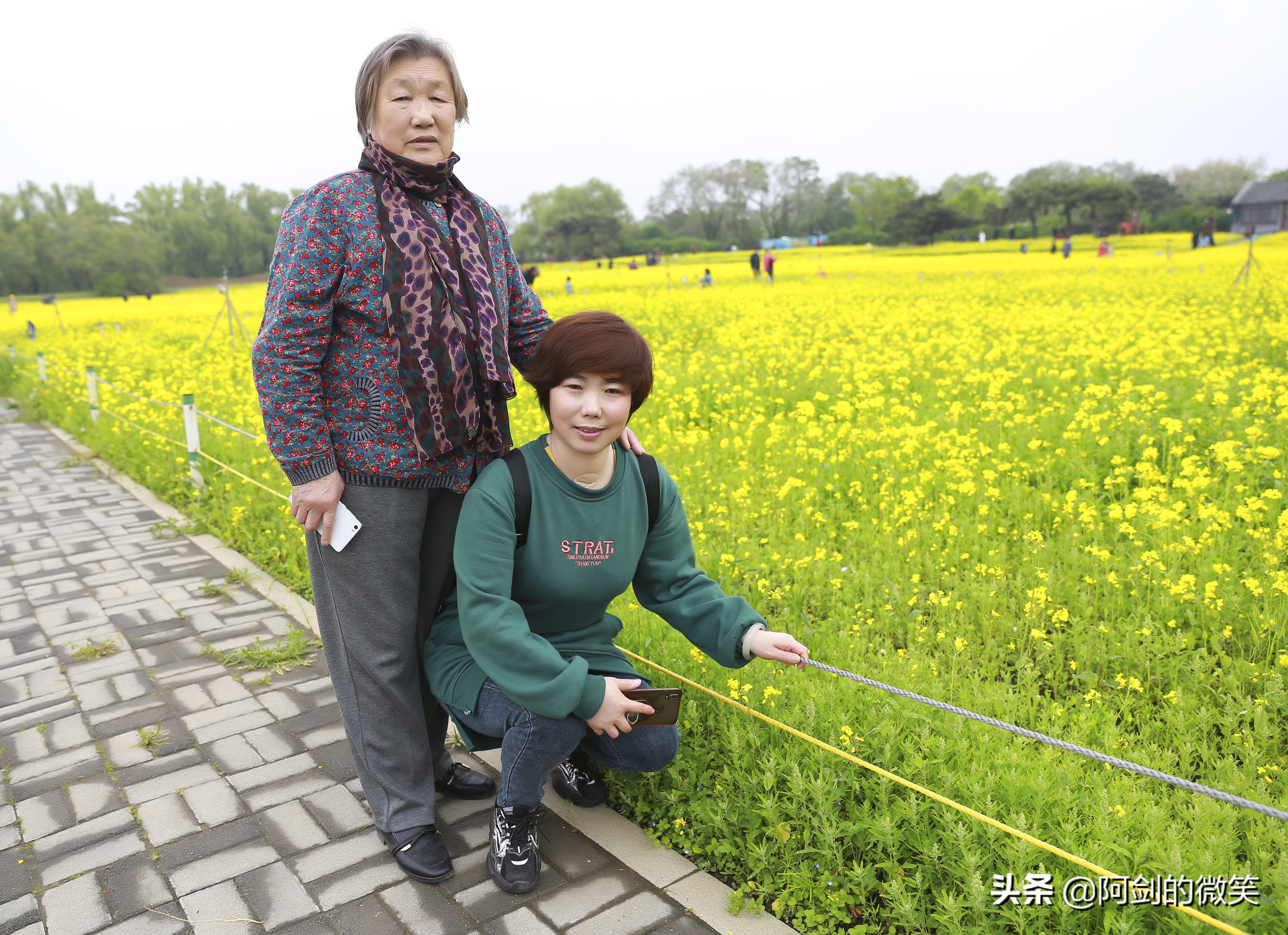 沈阳十一假期哪里有花海,沈阳玫瑰小镇温泉花海两日游