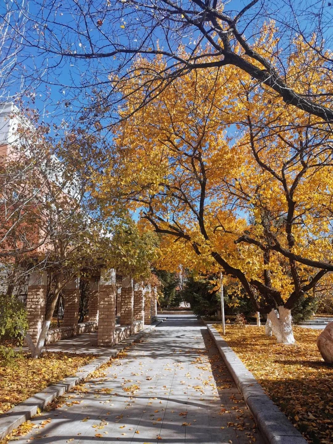 吉林省独立院校（三）长春工业大学人文信息学院