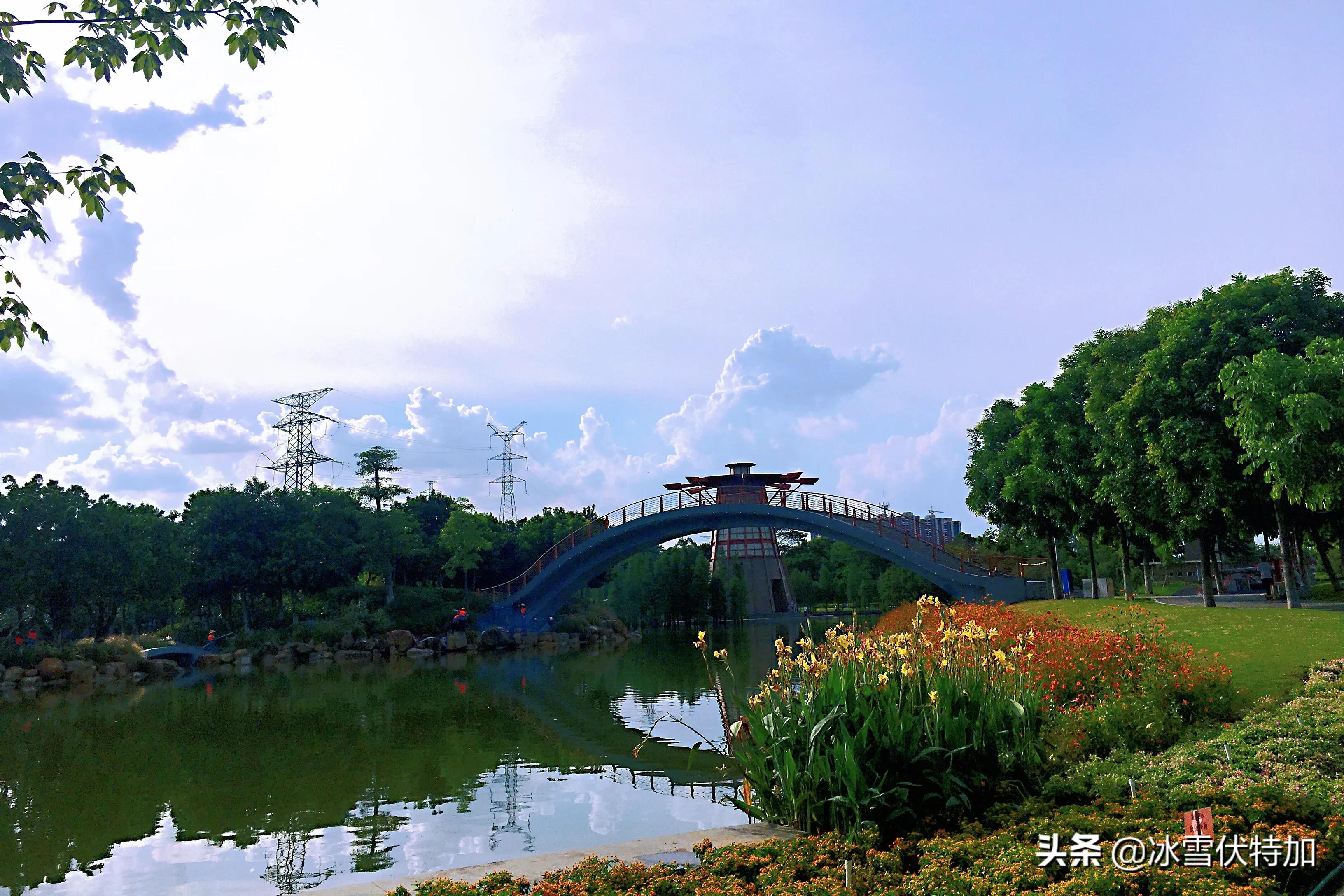 广州顺德美食一日游攻略,广东佛山一日游攻略