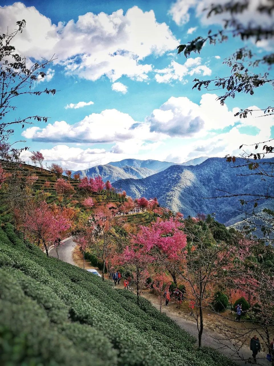 12月想要什么,12月的冬日暖阳岁月如此静好