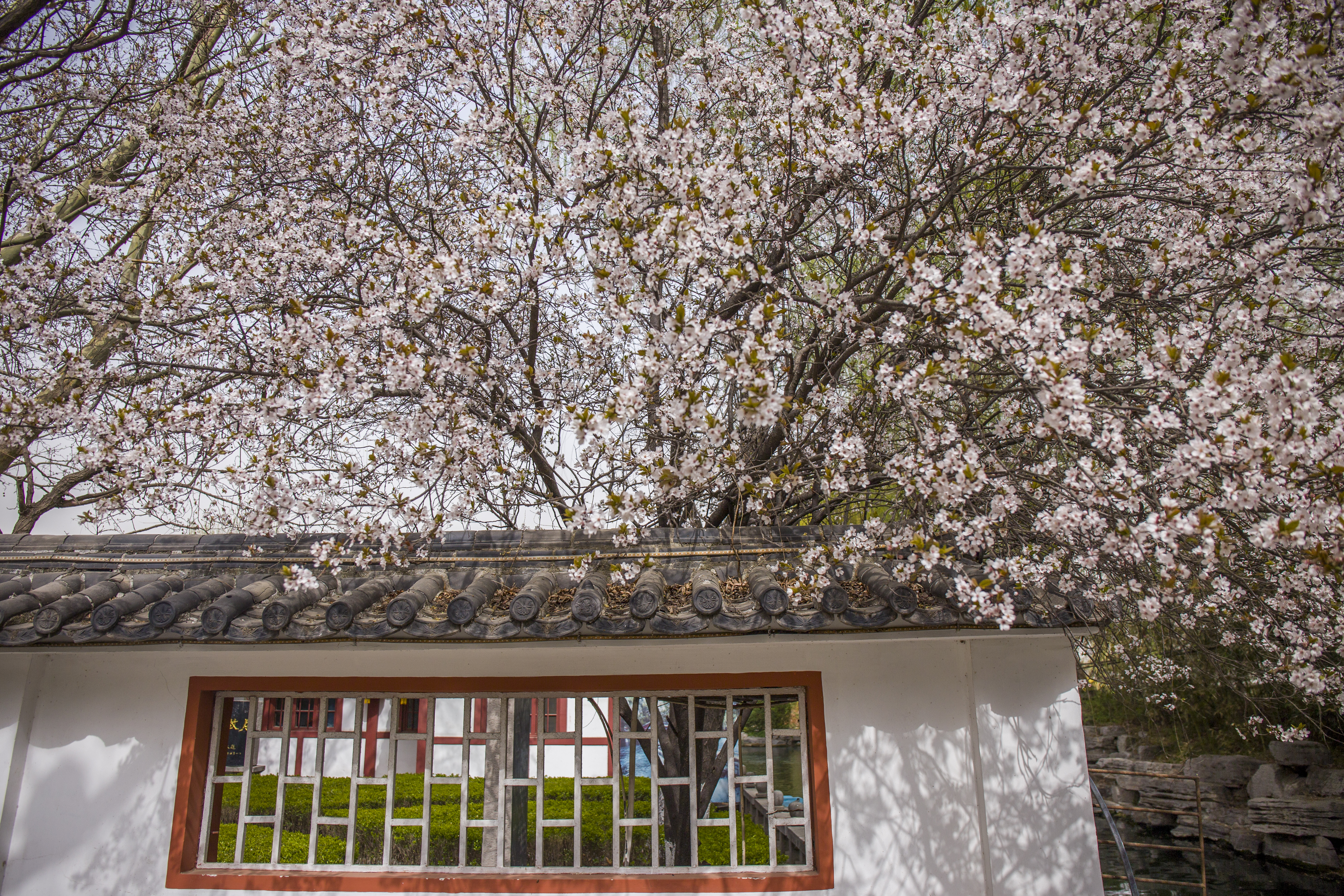 济南趵突泉酒和百脉泉酒哪个好,百脉泉和趵突泉哪个好