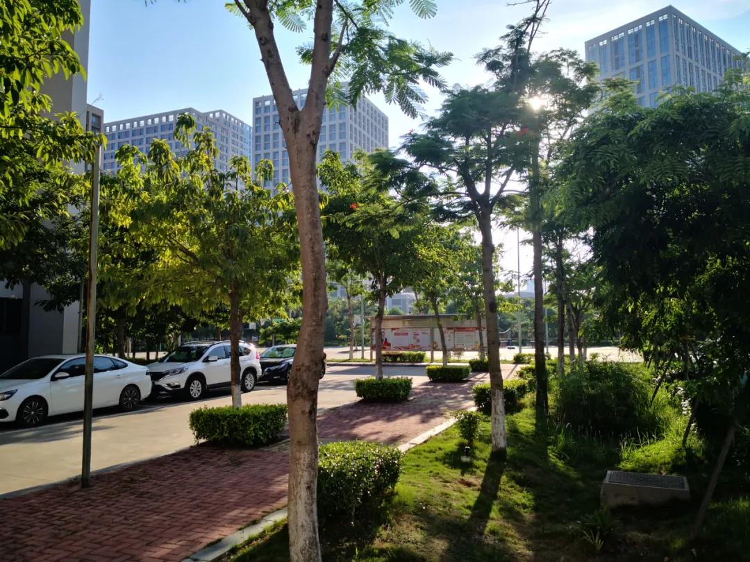 厦门翔安最好的学校,厦门翔安好的学校