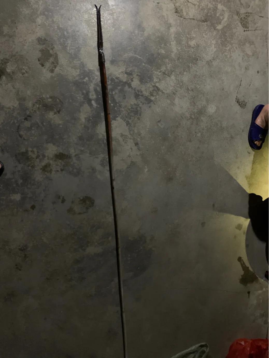 体验童年的乐趣抓泥鳅,抓野生泥鳅最简单的方法