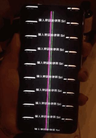 金晨：我们来自拍吧，张歆艺：先分我点头发...