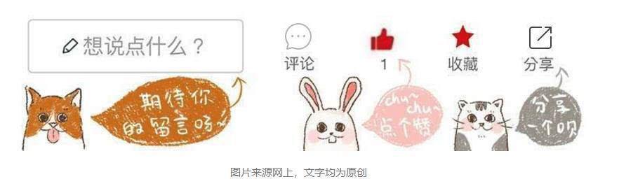 海狮在渔网里,海狮是一直在水下生存吗