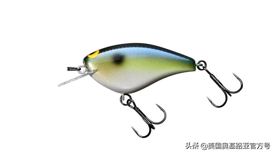 2021年春季渔具展会,2021昆明渔具展时间表