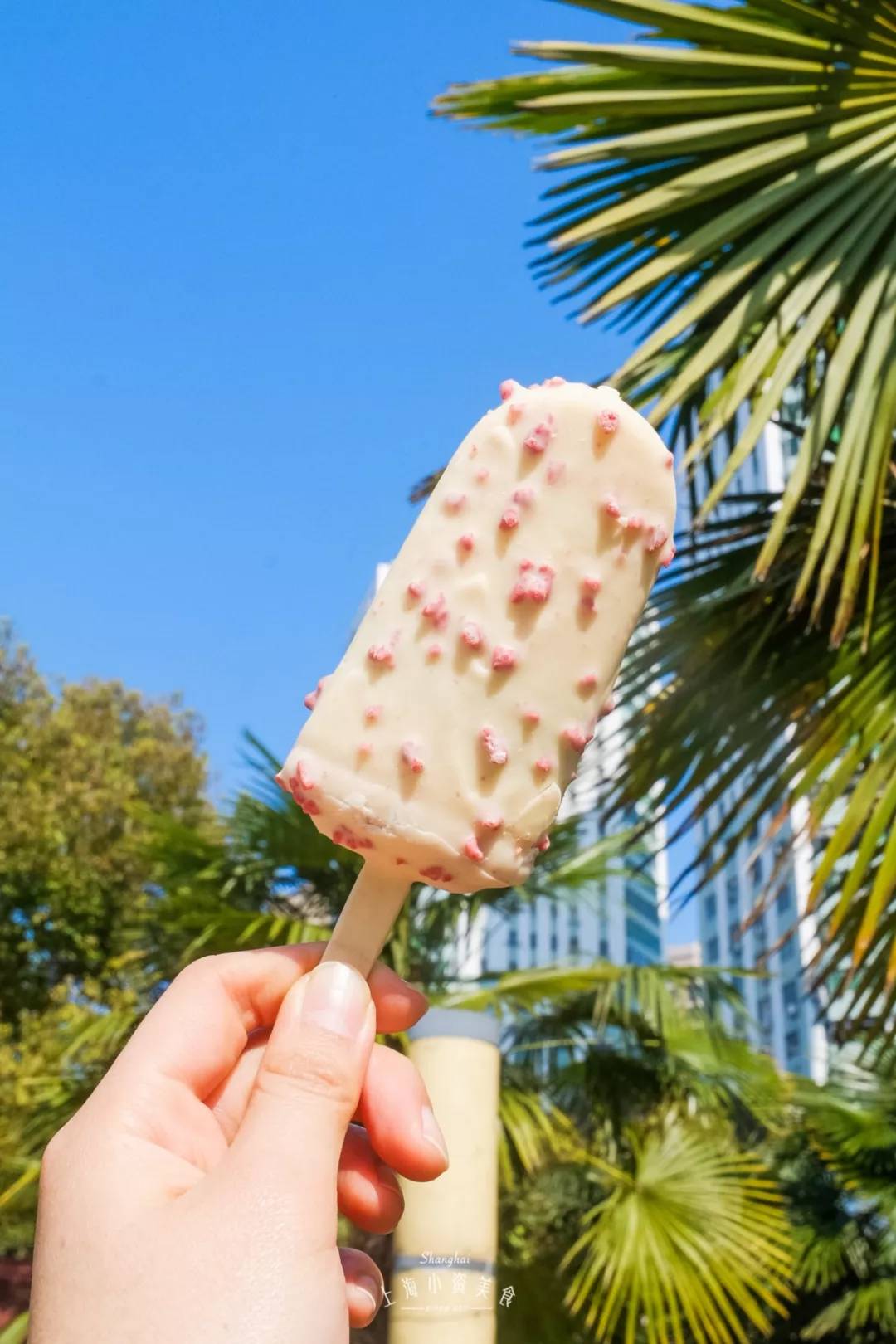 莫斯利安雪糕、双蛋黄雪糕，29款便利店新品雪糕测评来了！​