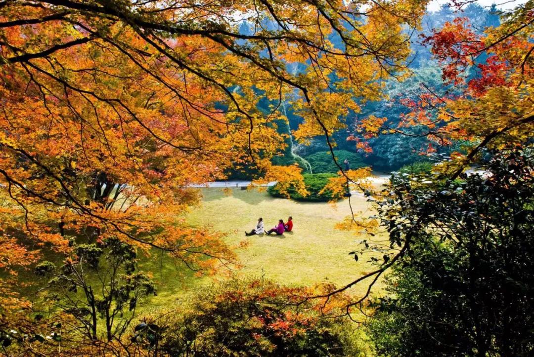 关注“江西发布”，畅游大美庐山！500张门票等你来拿！