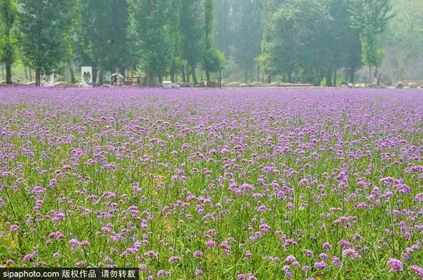 冰雪嘉年华温泉游玩攻略,北京可以泡温泉滑滑梯的地方