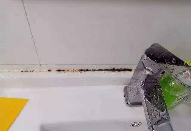 窗玻璃胶发黑发霉怎么办,水池边玻璃胶里发霉发黑怎么清除