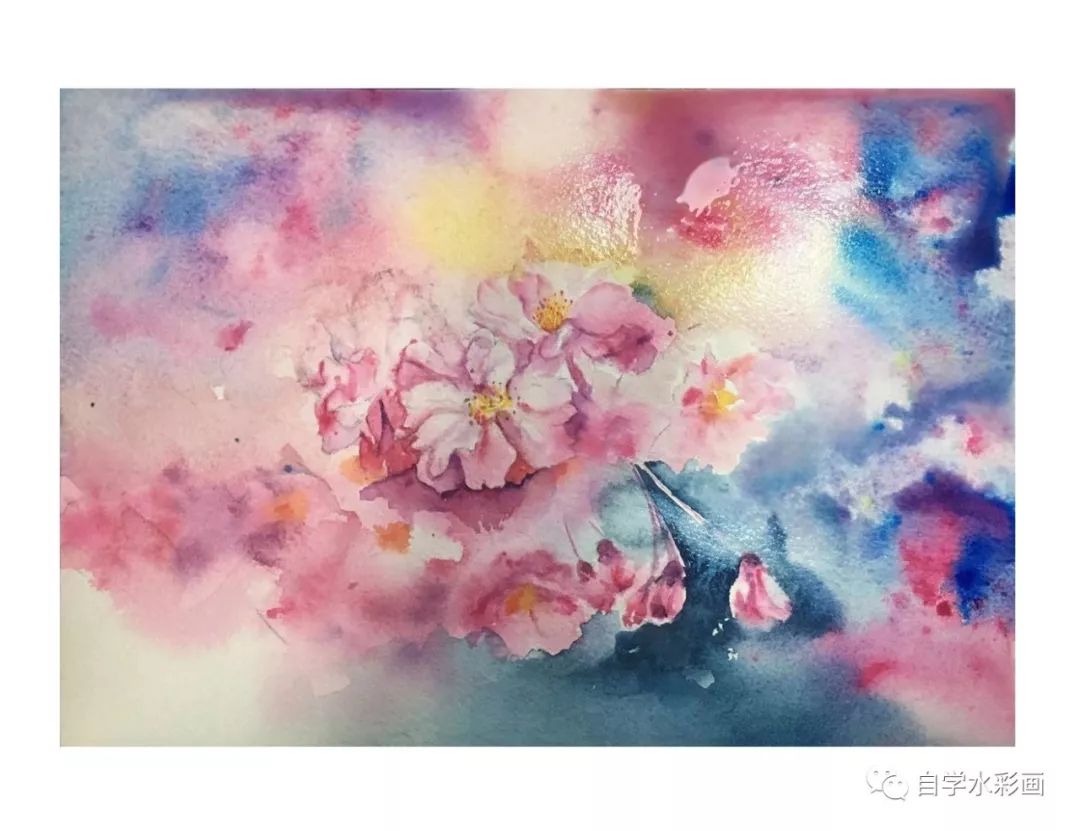 小清新水彩画樱花,梦幻又浪漫的水彩樱花画