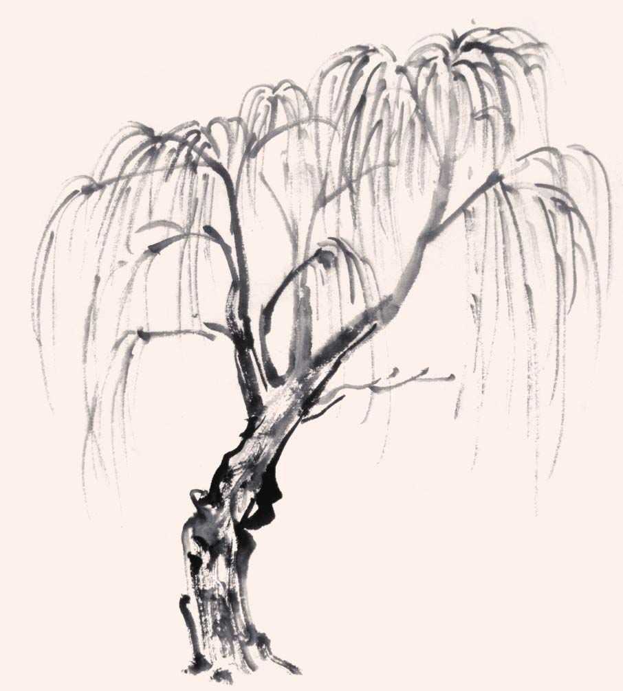 国画画树时的使转用笔方法,国画教程画树入门