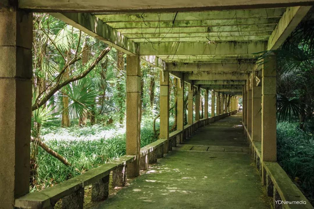 湖大全程,湖师大变成你想要的样子