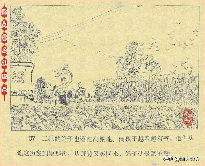 *革文**连环画《鸽子的秘密》张增木｜董建民｜张冰杰绘画