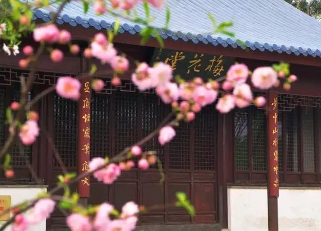 苏轼1987岁的生日,苏轼985岁生日图片