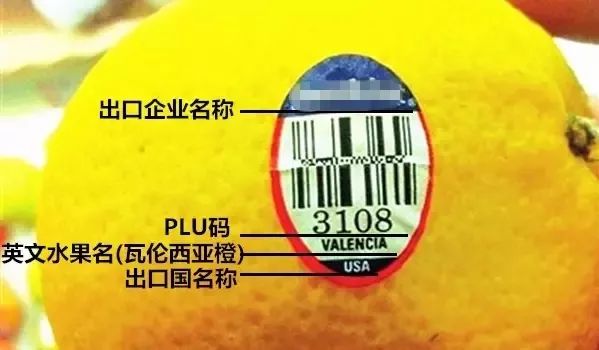 陕西红富士水果,新鲜红富士让您吃得放心