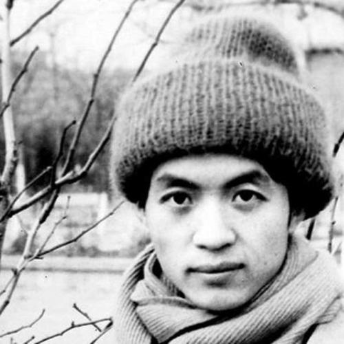 分析顾城一代人的思想情感,巨婴诗人顾城完整版