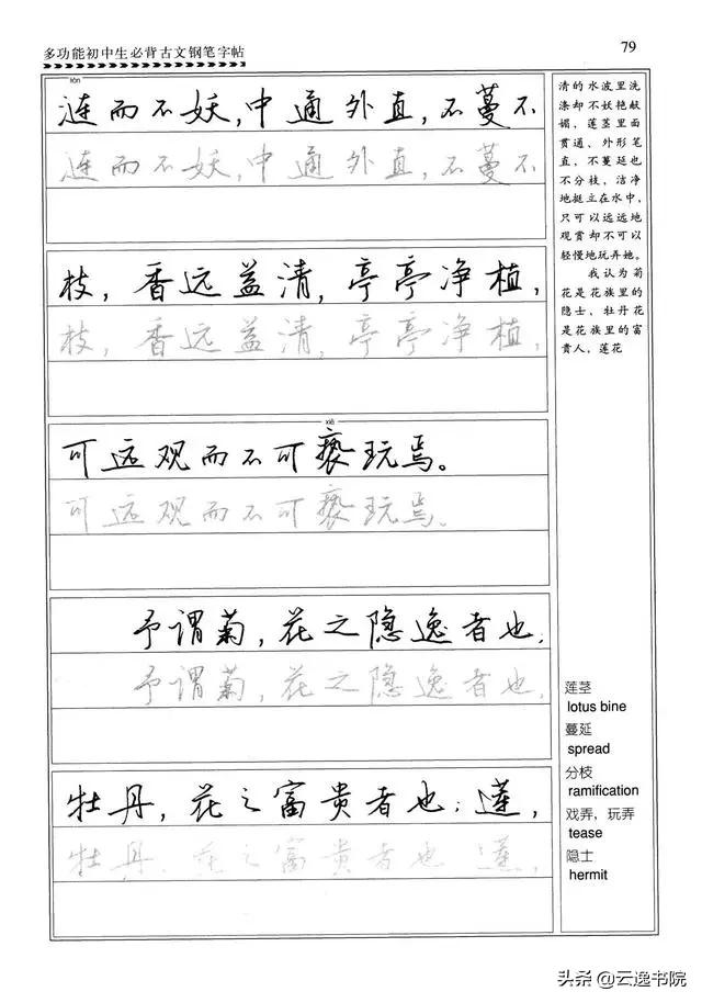 钢笔行楷练习字帖图片,启功钢笔行楷字帖