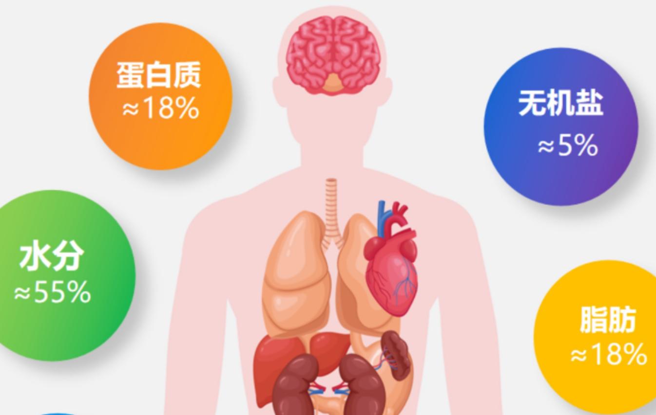 动物不用吃盐吗,宠物真的不能吃盐吗