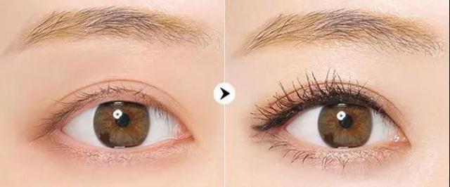 不会贴假睫毛用什么睫毛膏,适合贴假睫毛的睫毛膏