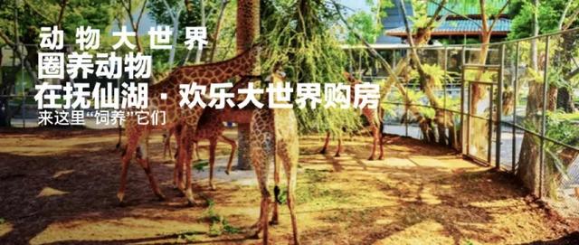 云南抚仙湖欢乐大世界，寒武纪小镇，文旅投资新热点