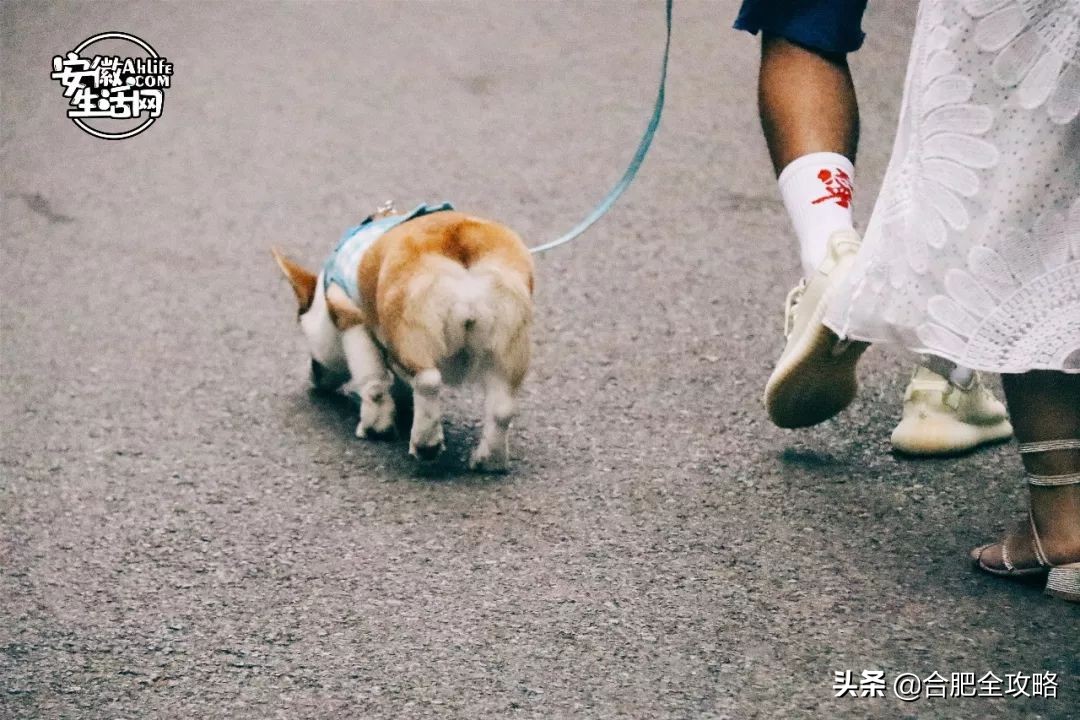 大蜀山,大蜀山的爱情