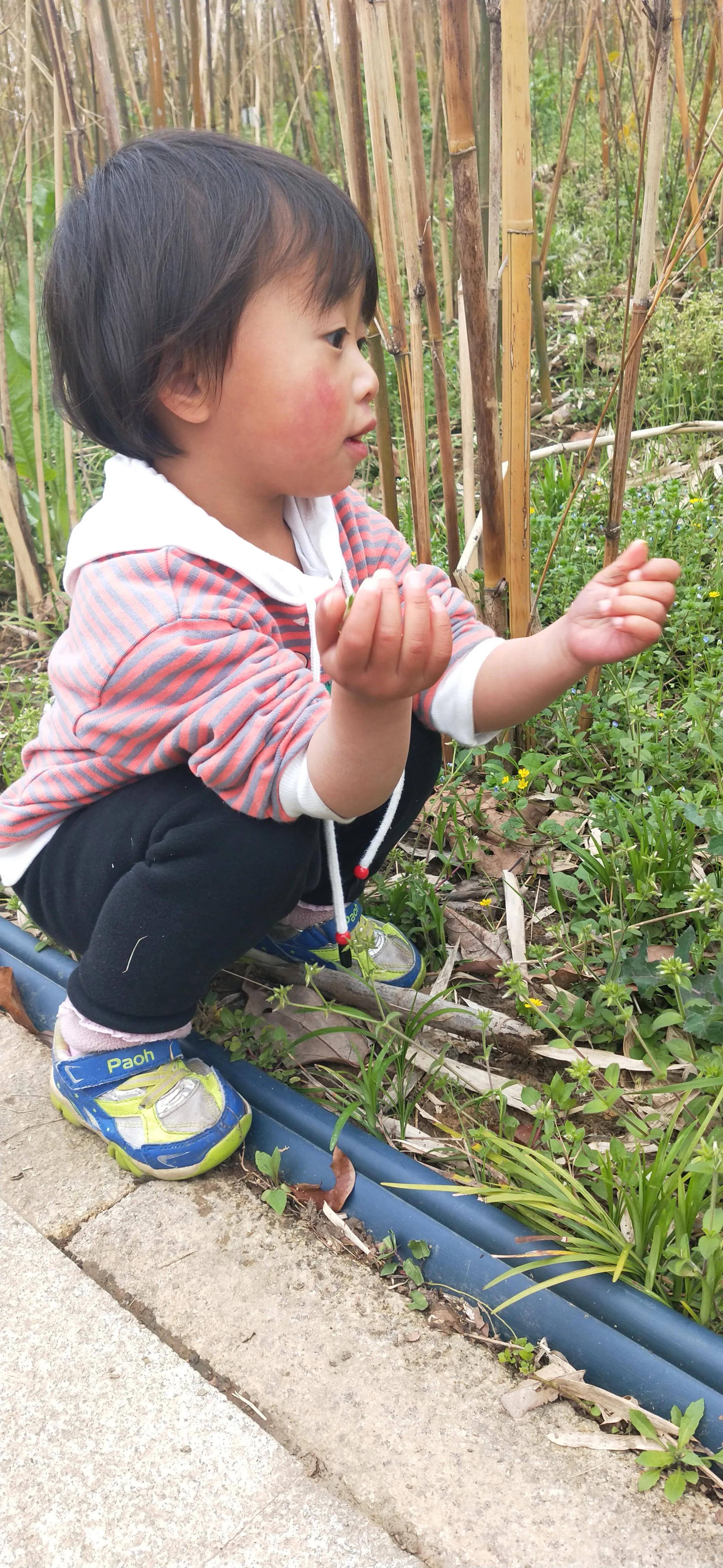 和婆婆有了矛盾就难以回到过去吗,跟婆婆有矛盾该说些什么话哄哄她