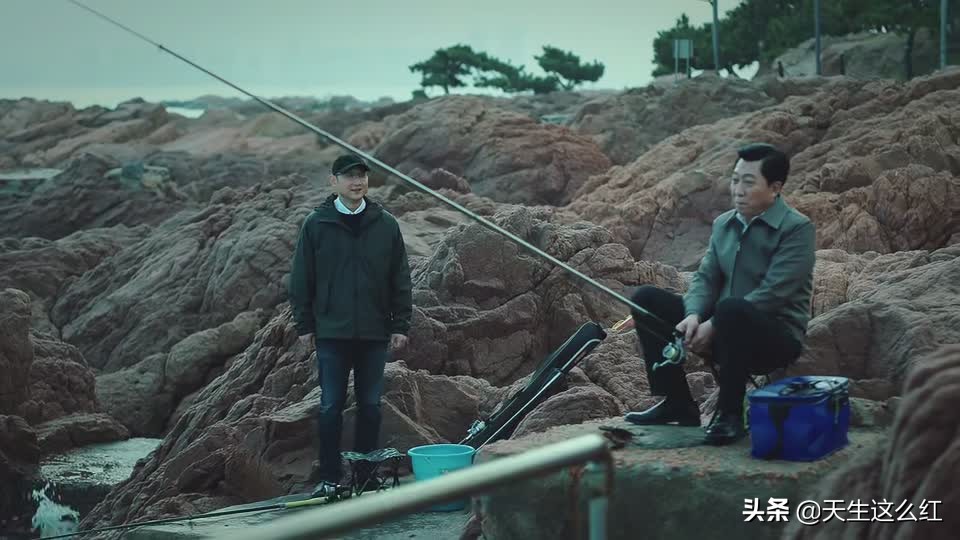 显微镜看《巡回检察组》欢乐多,宋丽敏竟认识胡八一和马冬梅