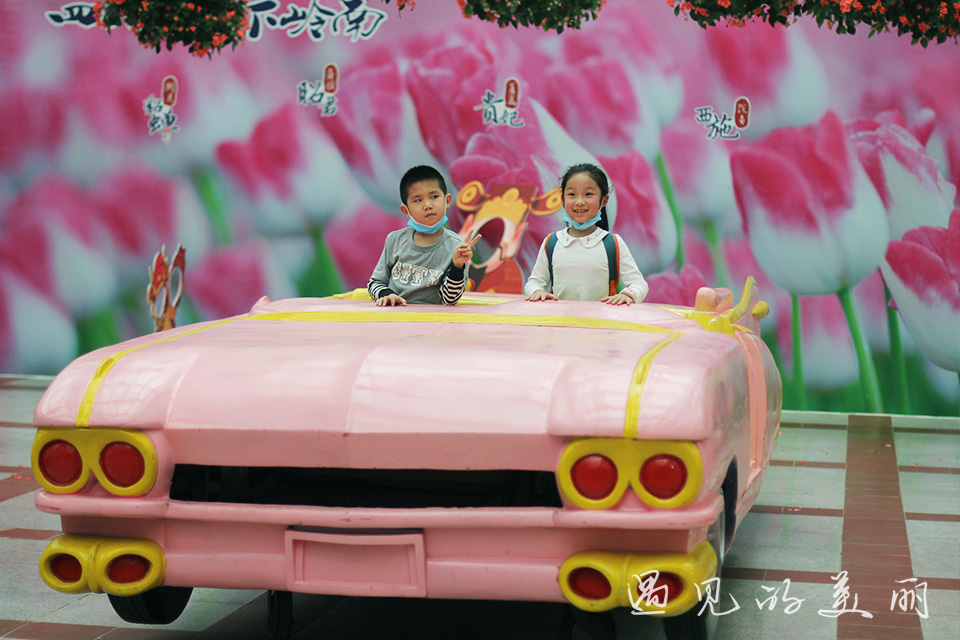 百万葵园有多坑,百万葵园免门票