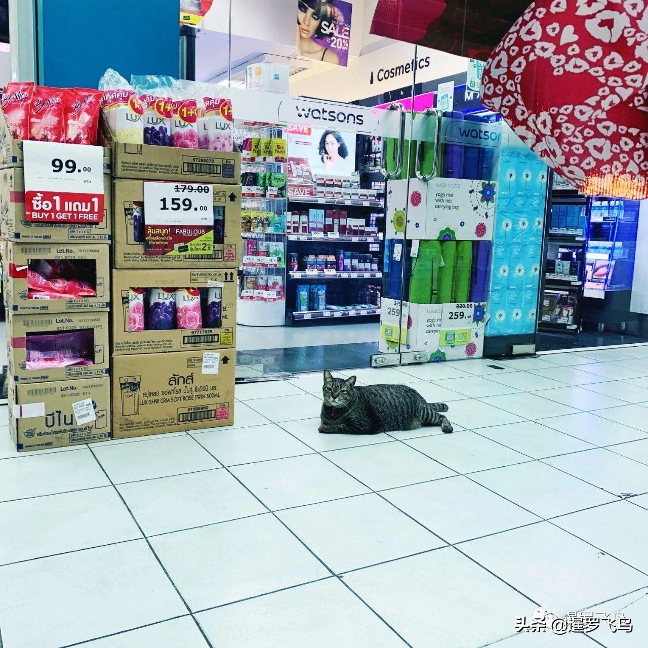 泰国疫情怎么那么严重了,泰国目前疫情怎么样